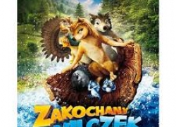 nowe zdjęcie