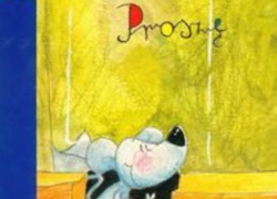 nowe zdjęcie