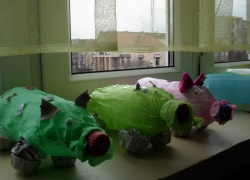 nowe zdjęcie