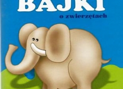 nowe zdjęcie
