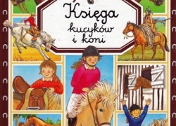nowe zdjęcie