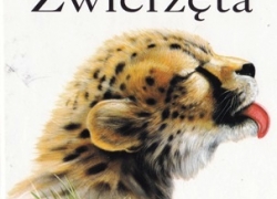 nowe zdjęcie