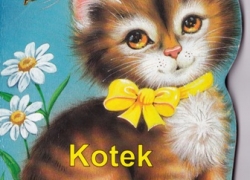nowe zdjęcie