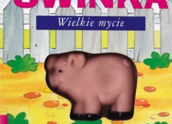 nowe zdjęcie
