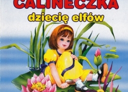nowe zdjęcie