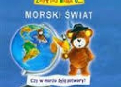 nowe zdjęcie