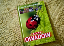 nowe zdjęcie