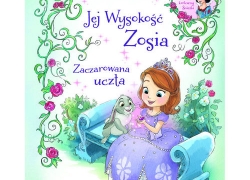 nowe zdjęcie